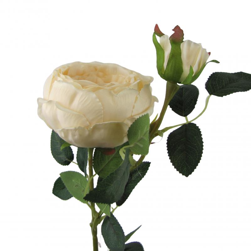 Róża 70cm kremowa <br>(12 sztuk)